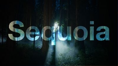 macOS Sequoia Night 功能